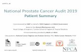 National Prostate Cancer Audit€¦ · prostate cancer treatment. There should be early and ongoing access to these services, in keeping with national recommendations. npca@rcseng.ac.uk