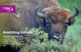 Rewilding Europe - EUROPARC Federation · 2016. 11. 24. · Rewilding Europe is an ambitious, new initiative which aims to turn a problematic situation into an opportunity. The urbanisation