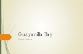 Guayanilla Bay - NRT › sites › 48 › files › Guayanilla Bay.pdfGuayanilla Bay, the nearby storm drain manhole, and Geoprobe locations along Highway 127 indicate significant