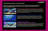 PROFESSIONAL LEARNING - Little Book Press · Below is a snapshot of workshops from our professional learning catalogue. With consultation, these workshops can be combined and adapted
