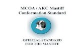 MCOA / AKC Mastiff Conformation Standard · 2020. 3. 26. · The Mastiff is a large, massive, symmetrical dog with a well-knit frame. The impression is one of grandeur and dignity.