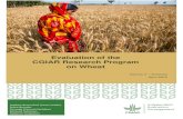 Evaluation of the CGIAR Research Program on Wheat · 2019. 11. 6. · 2 Wheat Evaluation, Annexes, April 2015 iea.cgiar.org ANNEX A. - Evaluation Team Members – Short Bios Wallace