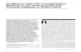 Intrathymic Islet Cell Transplantation Reduces p-Cel Autoimmunitl … · 2012. 10. 22. · Intrathymic Islet Cell Transplantation Reduces p-Cel Autoimmunitl y and Prevents Diabetes