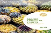 MAJOR TROPICAL FRUITS · 2020. 10. 1. · major tropical fruit trade - results for 2019 Overview Provisional data indicate that world trade in major tropical fruits reached a new