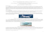 Converting a C-130 Hercules into a Compound Helicopter: A … · 2020. 8. 6. · Abstract for the AHS Specialists’ Conference on Aeromechanics January 20-22, 2010, San Francisco,