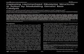 PLoS BIOLOGY Capturing Hammerhead Ribozyme Structures ...scottlab.ucsc.edu/scottlab/reprints/2008_Scott_PLoS.pdfreactant (precatalytic) and product (postcatalytic) structures of the