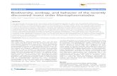 Biodiversity, ecology, and behavior of the recently ... · discovered insect order Mantophasmatodea Steffen Roth1*, Jorge Molina2 and Reinhard Predel3 Abstract The spectacular discovery