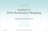 Lecture 4: DNA Restriction Mappingprins/Classes/555/Media/Lec04.pdf8/28/2014 COMP 555 Bioalgorithms (Fall 2014) 1 Lecture 4: DNA Restriction Mapping Study Chapter 4.1-4.3