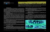COMPLEX TREATMENT IN A PATIENT WITH SEVERE CHRONIC PERIODONTITIS (Case Report)journal-imab-bg.org/issues-2015/issue1/JofIMAB_2015-21-1... · 2015. 2. 2. · complex treatment. OBJECTIVE: