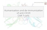 Humanisa(onandde immunisa(on* ofan(CD19* CARTcells · 2017. 8. 24. · FoldX"minimzaon "(kcal/mol) VDW"strain" before VDW"strain" aer RMSD" before"" RMDS" aer Class"1"SB" epitopes
