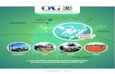DECMECBE - oag.go.ug...Development Plan submitted by KIS, GoU signed an Implementation Agreement (IA) with Kalangala Infrastructure Services Limited (KIS). KIS was designed as a PPP