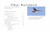 The Kestrel · 2018. 11. 29. · 2 Club Camp at Beauvais Lake May 29 - June 1 On Tuesday May 29th, 2018, 17 naturalist members descended on Beauvais Lake Provincial Park in Southern
