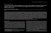 Neurobiology of Disease Translamellar Disinhibition in the Rat … · 2004. 1. 22. · Neurobiology of Disease Translamellar Disinhibition in the Rat Hippocampal Dentate Gyrus after
