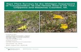 Rare Plant Surveys for the Michigan Department of ...trefoil (Lotus corniculatus), and queen Anne’s lace (Daucus carota). Abundant native plant species in the right-of-way include