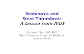 Restenosis and Stent Thrombosis A Lesson from IVUS · 2016. 10. 12. · Acute Incomplete Stent Apposition • There is little or no data linking isolated acute ISA to adverse clinical