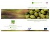 Assessment and dissemination of strategies for the extraction of area/Booklets/Booklet OLIVE... · 2020. 7. 19. · supercritical fluid extraction, for example dewatering of the olive