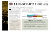 H A C N Fusarium Focus - scabusa.org › pdfs › 02_Summer_Newsletter.pdf · vitro, in growth chamber and greenhouse tests and, ultimately, in the field. • As wheat and barley