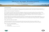 Storm Surge Protectors - University of North Carolina ...Storm Surge Protectors is a UNCW MarineQuest citizen science project, which aims to collect long-term data that will help determine