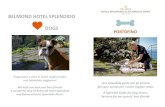 BELMOND HOTEL SPLENDIDO DOGS PORTOFINO...Belmond Hotel Splendido’s pet program leaves no dog behind —Some of the special amenities we offer are the exclusive bathrobes for dogs,