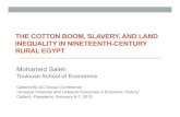 THE COTTON BOOM, SLAVERY, AND LAND INEQUALITY IN NINETEENTH-CENTURY RURAL EGYPT · 2019. 10. 2. · to feudalism). Imported slaves in rural Egypt were very limited until the 1860s.