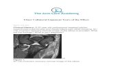 Ulnar Collateral Ligament Tears of the Elbowarmcareacademy.com/uploads/5/3/2/9/53293601/aca_ulnar_co... · 2020. 3. 20. · Ulnar Collateral Ligament Tears of the Elbow Mark H. Awh,