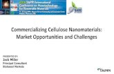 Commercializing Cellulose Nanomaterials: Market ...mktintell.com/files/JCM_final_0611.pdfApplications and potential volume (thousand tons) Source: Nanocellulose: Technology, Applications
