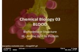 Chemical Biology 03 BLOOD - Amherst College · 2009. 9. 16. · Properties of Peptide Bond •Barrier to Rotation about C-N bond is 20 kcal •Peptide bond is planar with C groups