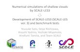 Numerical simulations of shallow clouds by SCALE LES3 ...Numerical simulations of shallow clouds by SCALE‐LES3 Yousuke Sato, Seiya Nishizawa, Hisashi Yashiro, Yoshiaki Miyamoto,