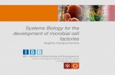 Systems Biology for the development of microbial cell factoriesrepositorium.sdum.uminho.pt/bitstream/1822/59526/1/... · 2019. 3. 18. · P nPFK A PFK ,f 6 p,s f 6 p PFK PFK f 6 p,