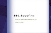SSL SpoofingPreventing SSL Spoofing Ensure you are using secure connections. Look for the HTTPS. Be careful about where you use secure sites. Secure machines on the network. Use …