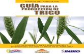 MANUAL DEL AGRICULTOR GUÍAPARA LA PRODUCCIÓN DE TRIGO · 2014. 9. 26. · Programa de Investigación de Trigo (PIT) 1) Trigo 2) Investigación agrícola 3) Cereales / Mejoramiento