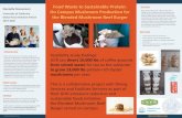 Food Waste to Sustainable Protein: PROPOSAL Danielle ...RESEARCH POSTER PRESENTATION DESIGN © 2015  RESEARCH POSTER PRESENTATION TEMPLATE © 2019  Oyster mushrooms are ...