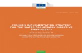 COMMON IMPLEMENTATION STRATEGY FOR THE WATER … · Environment COMMON IMPLEMENTATION STRATEGY FOR THE WATER FRAMEWORK DIRECTIVE (2000/60/EC) Guidance Document No. 33 ON ANALYTICAL