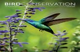 BIRDCONSERVATION...Bird Reserve Network, a successful model for sustainable bird tourism designed to prevent the extinction of some of the Americas' rarest bird species. The network,