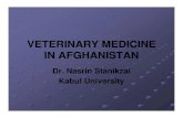VETERINARY MEDICINE IN AFGHANISTAN potluck.pdf1993 1993 -- Ruins of Vet Clinic in KabulRuins of Vet Clinic in Kabul. 1993 -- Ruins of Diagnostic LaboratoriesRuins of Diagnostic Laboratories