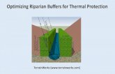 Optimizing Riparian Buffers for Thermal Protection · In the Teanaway River watershed in eastern Washington, we compare a few different riparian buffer designs on headwater, non fish