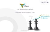 TFM Treamo Finance Monitor · 2018. 8. 9. · Flat files, SWIFT MT940, camt.053 TMS Balances, FX derivatives (FX) cash flows. TFM Treamo Finance Monitor - Setup ... absolute amounts)