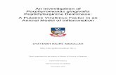 An Investigation of Porphyromonas gingivalis …...Appendix 2.3 Effect of environmental pH .....141 Appendix 2.4 Peptidylarginine deiminase specificity for arginine position.....141
