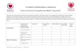 A Cardiac Catheterisation Laboratory...NAPs Matrix „log book“ version 1.2 30.04.2016 A Cardiac Catheterisation Laboratory Core Curriculum Competencies Matrix “log book” Every