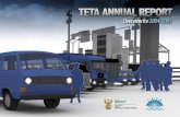 To develop and improve skills in the transport sector · 2015. 1. 30. · Teta achievements against targets: 2000 - 2005 14 New National Skills Development Strategy Targets 2005-2010