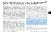 Cyclic GMP-AMP synthase promotes the inflammatory and … · Cyclic GMP-AMP synthase promotes the inflammatory and autophagy responses in Huntington disease Manish Sharmaa, Sumitha