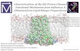 Biomolecular Solid-State NMR Winter School - Charcterization of … · 2016. 1. 12. · Winter School January 2016 . Neuraminidase ... Influenza A Viral Life Cycle ... T he c he m