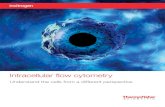 Intracellular flow cytometry - Thermo Fisher Scientific...Phosphospecific flow cytometry 17 Gene expression profiling by flow cytometry 20 Intracellular antibody staining protocols