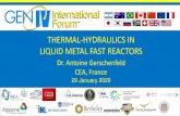 THERMAL-HYDRAULICS IN LIQUID METAL FAST REACTORS...LIQUID METAL FAST REACTORS Dr. Antoine Gerschenfeld CEA, France 29 January 2020 Meet the Presenter Dr. Antoine Gerschenfeld earned