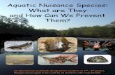 Aquatic Nuisance Species What are They and How Can We … · 2 days ago · E. Spotted Bass 4. Sometimes referred to as the “World’s Worst Aquatic Invasive Plant,” this fast-growing