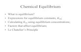 Chemical Equilibrium...Expression for Equilibrium Constant Consider the following equilibrium system: wA + xB yC + zD K eq = • The numerical value of K eq is calculated using the