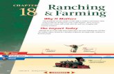 Chapter 18: Ranching & Farming · 2018. 8. 15. · 1880s ★ Ranchers began to use barbed wire fences CHAPTER 18 Ranching & Farming 411 PRE-WAR POST-WAR Cattle Ranching in Texas Farming