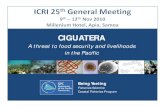 CIGUATERA - International Coral Reef Initiative · 2020. 5. 20. · • Ciguatera can limit availability of fish protein (food security) and income opportunities (livelihoods) to
