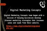 Website Design and Development Company – Digital Marketing Concepts