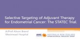 Selective Targeting of Adjuvant Therapy for Endometrial ...abg2018.conferenceworks.com.au/wp-content/uploads/sites/...Pelvic alone 3 6.9% 35.3% Para-aortic alone 3 0 25% Para-aortic